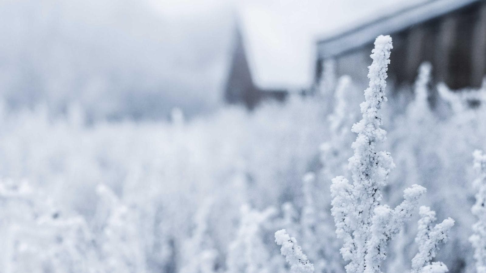 Home & Seasonal — editorial photo