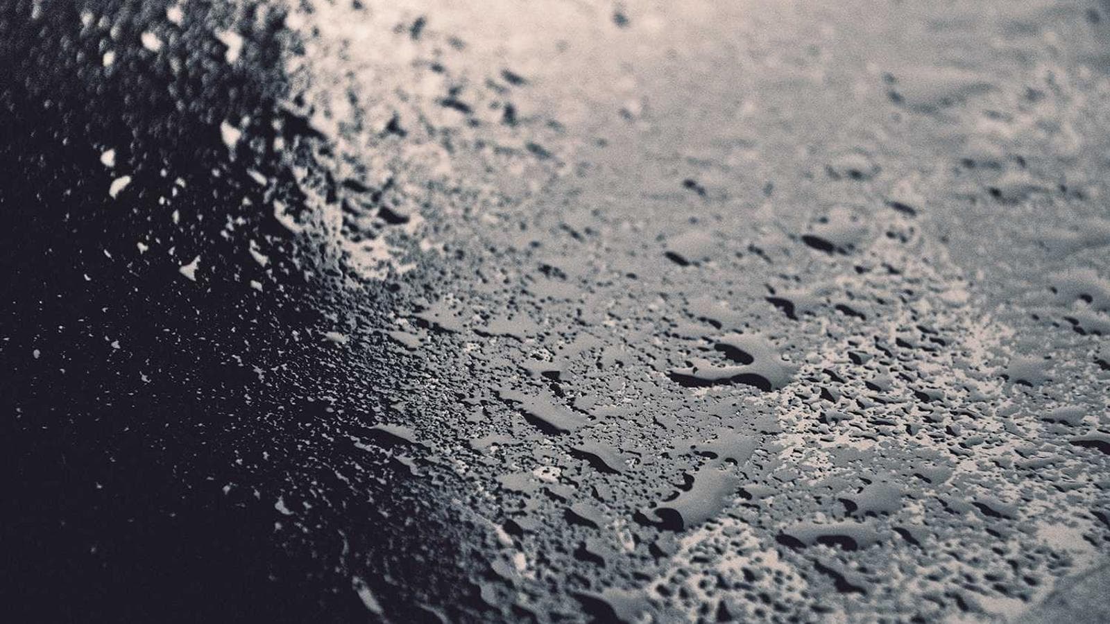 Editorial photograph accompanying: A Simple System for The Seasonal Deep-clean that Lasts
