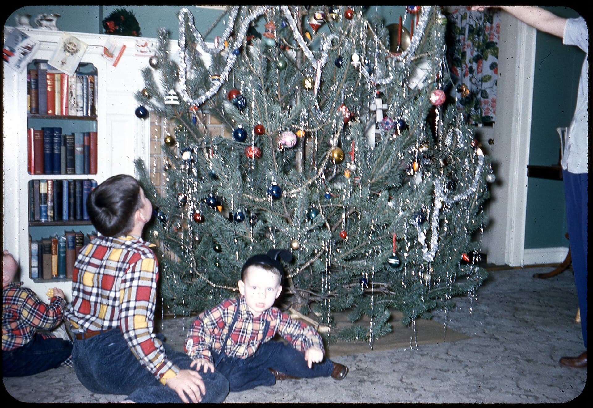 Christmas Tree - DPLA - ed4aa0c903c79d297e1ec715a701dd54