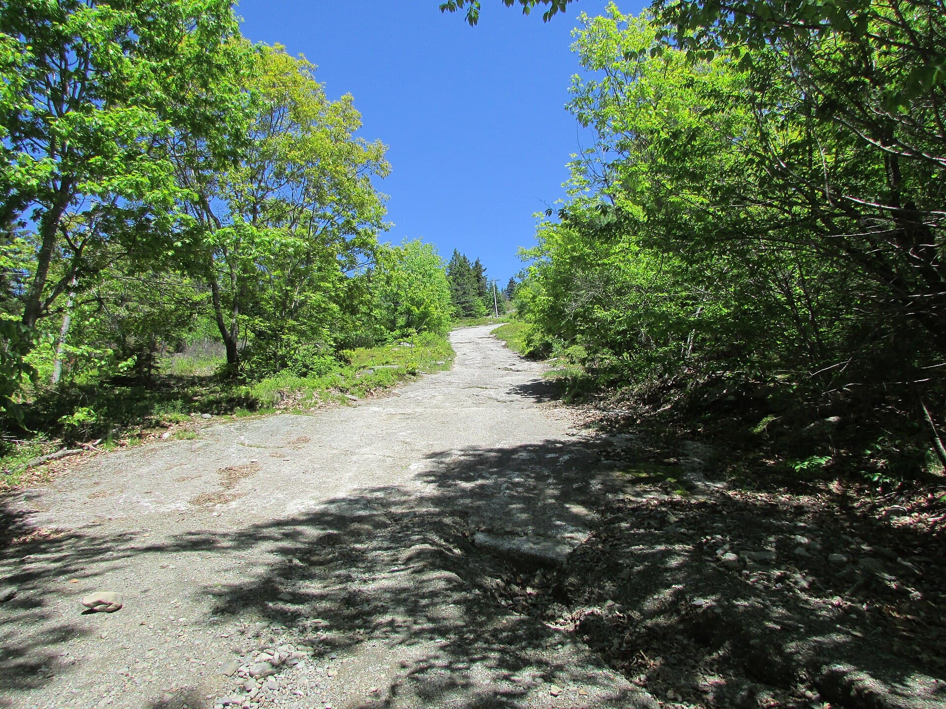 Bald Mountain Trail, Dedham, Maine image 1