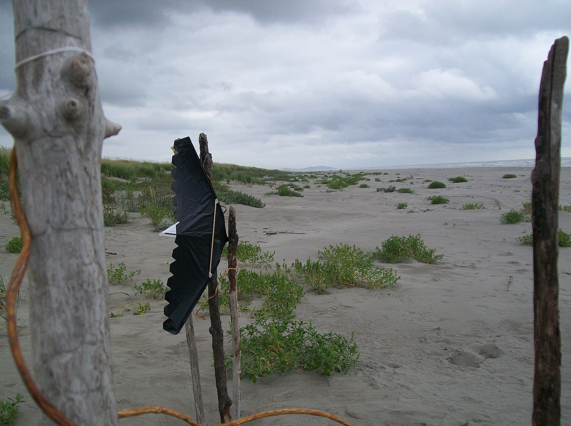 Dads beach kites on beach nice