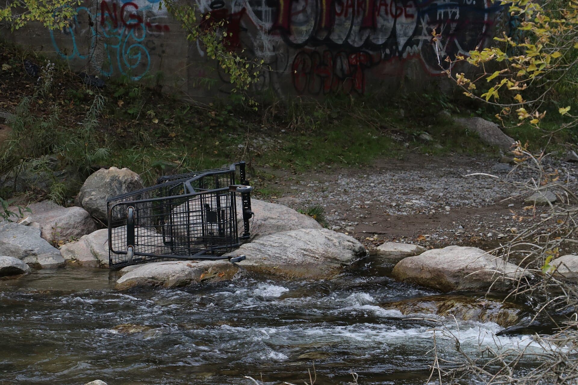 Grocery shopping cart in Bowmanville Creek