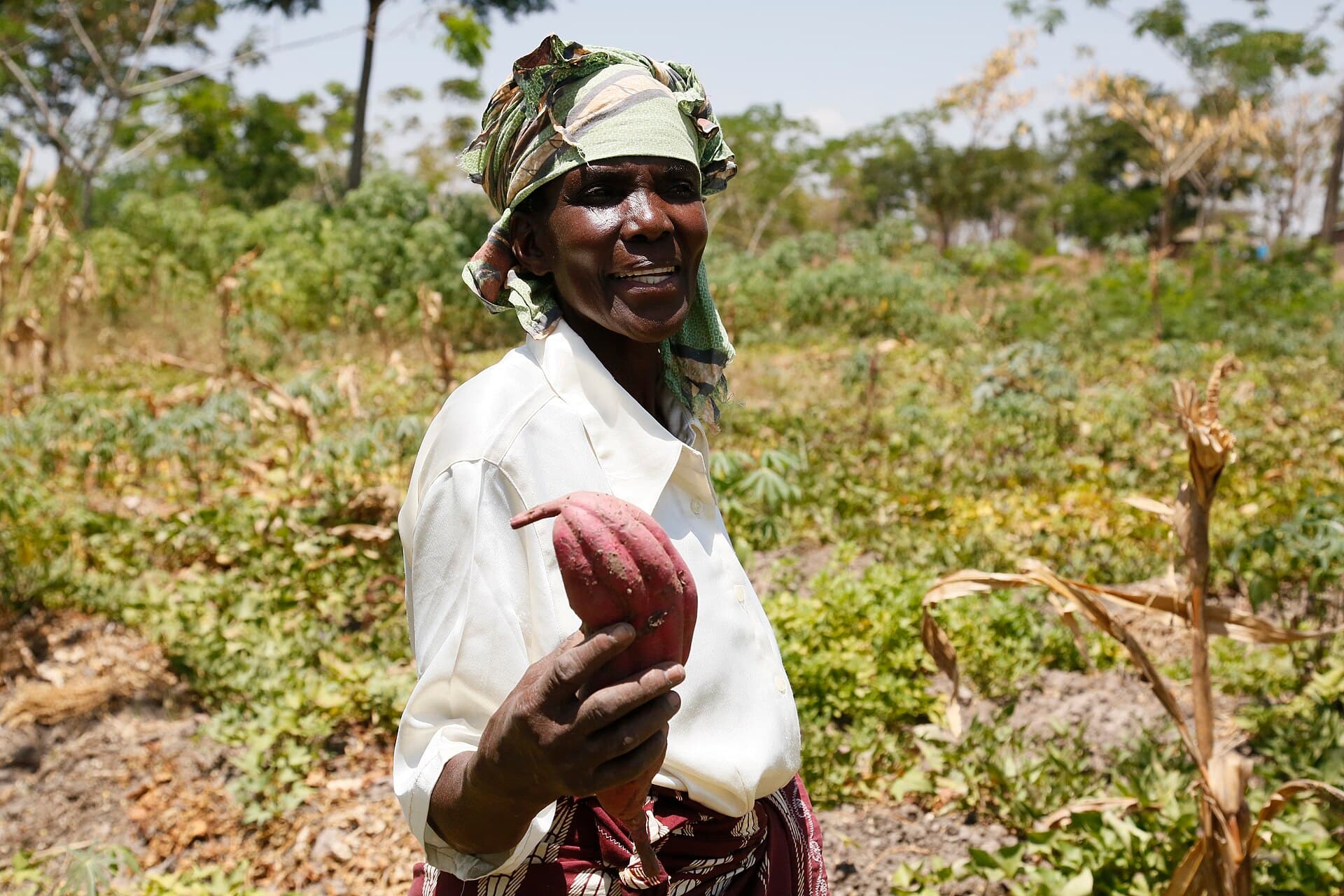 Elizabeth Mukwimba, Tanzania farmer, 2015