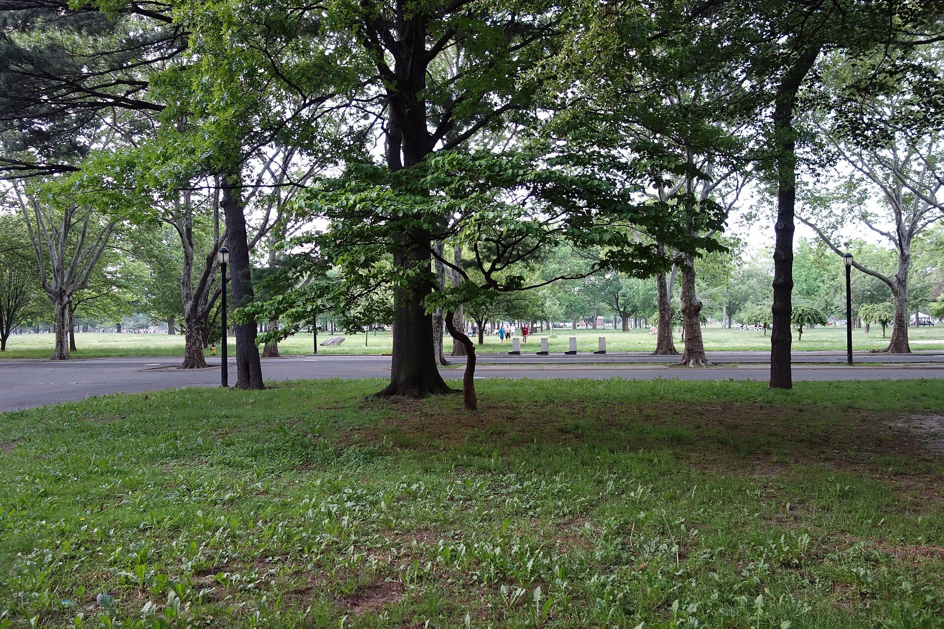 Flushing Meadows Fair Grounds td (2018-05-26) 162 - Garden of Meditation