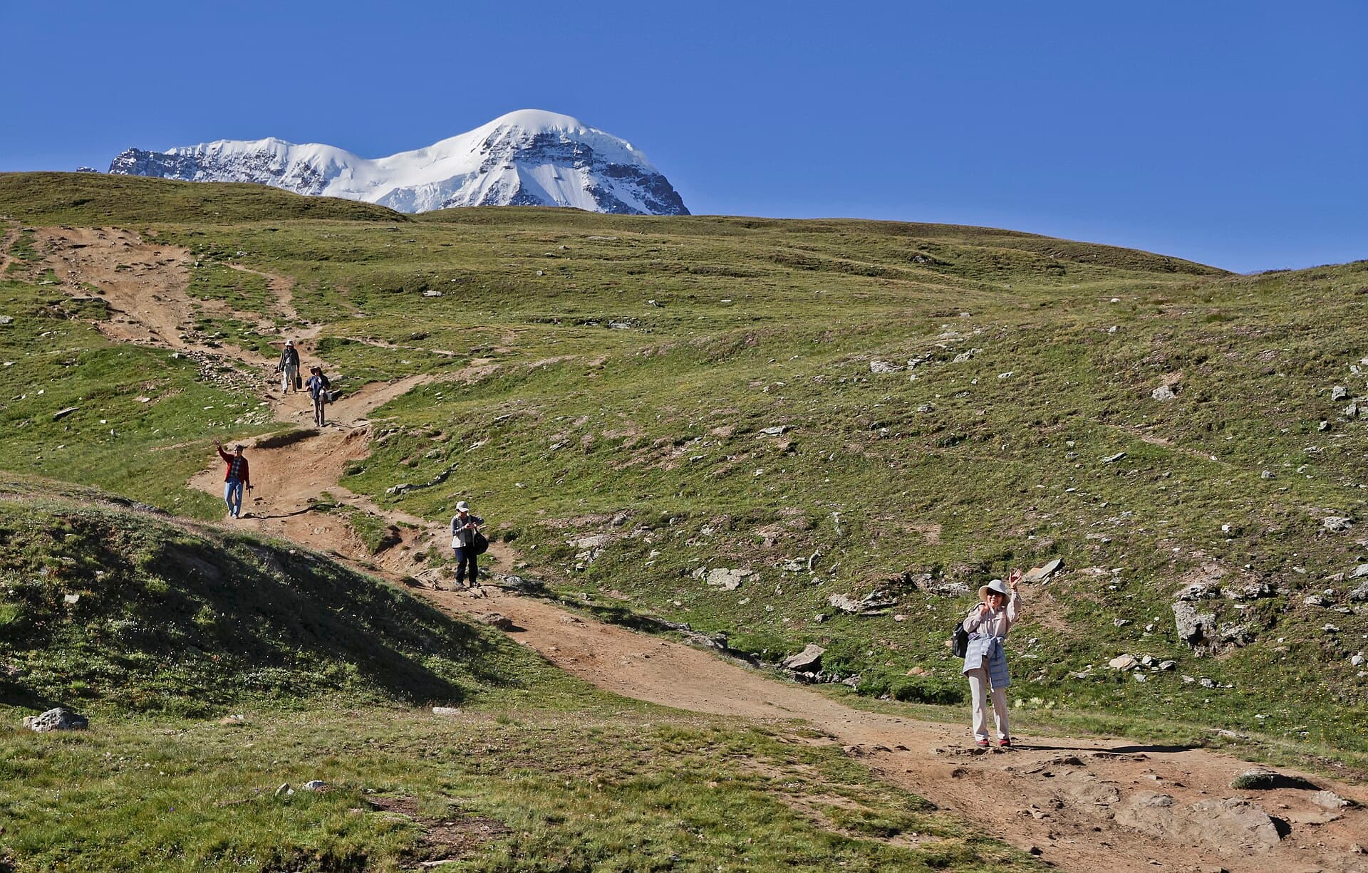Hiking trail between Zermatt and Gornergrat, Wallis, Switzerland, 2012 August