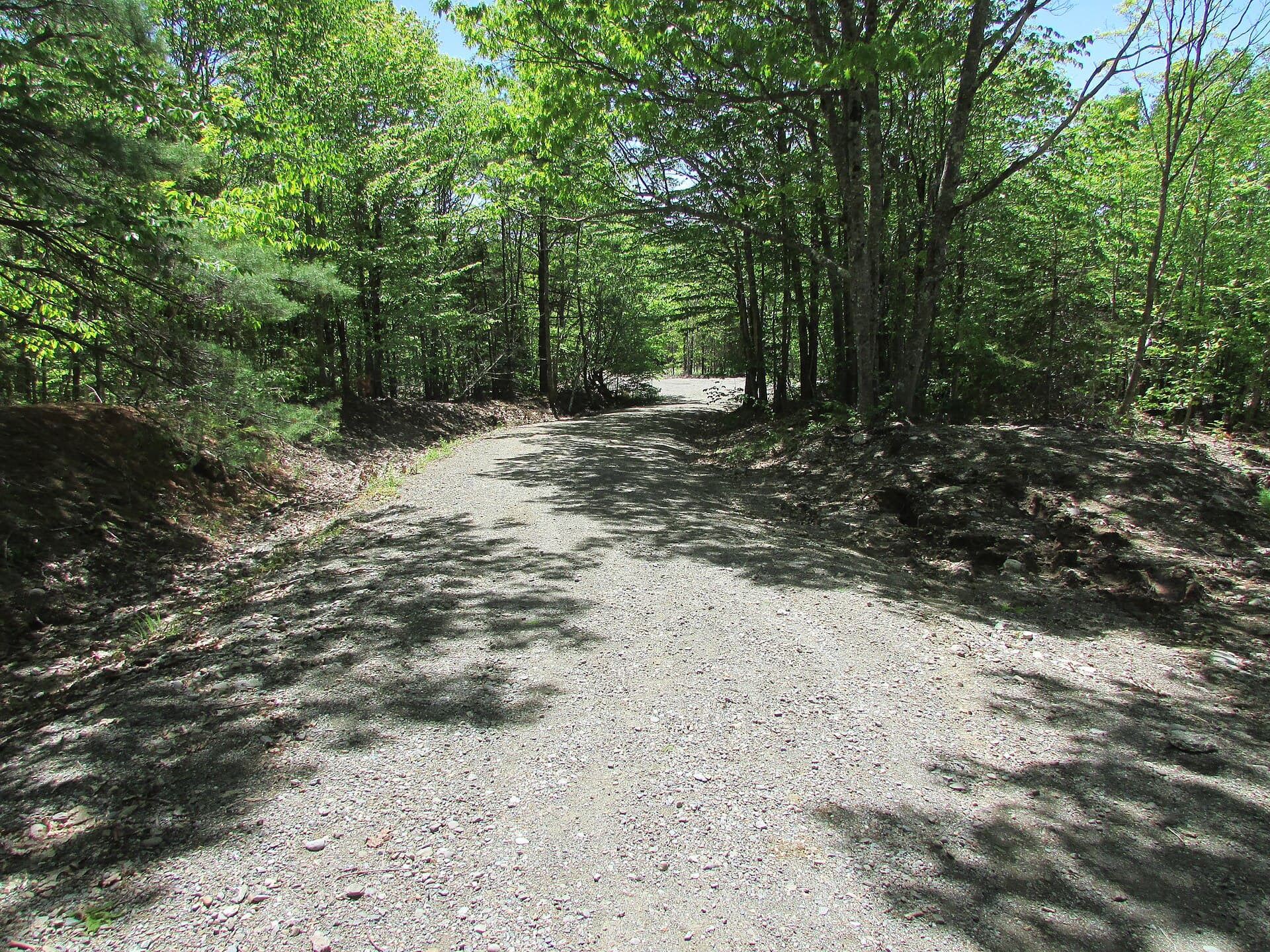 Bald Mountain Trail, Dedham, Maine image 2