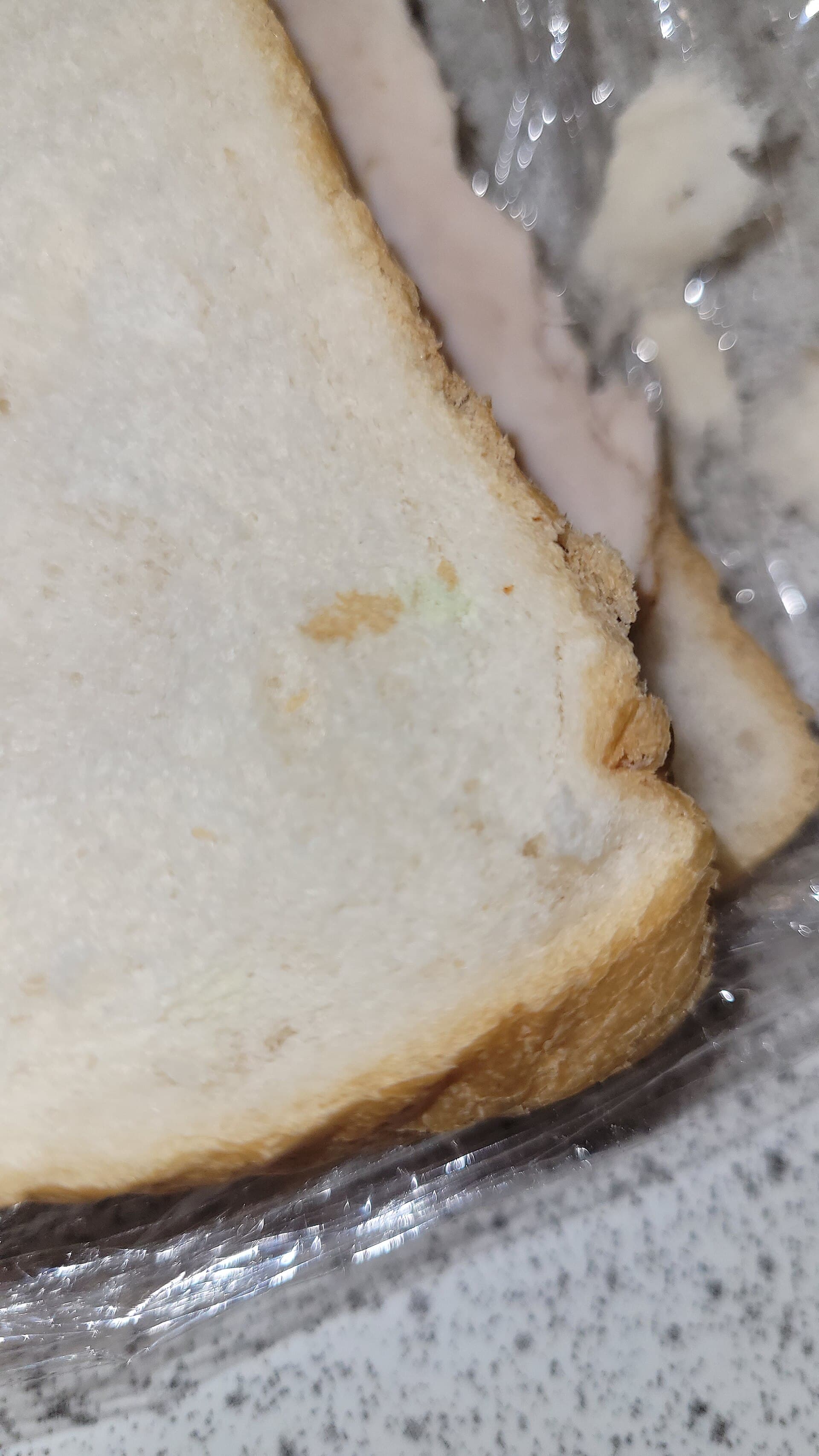 A piece of mouldy bread in a sandwich